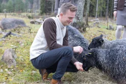 Ivanhoe of Sweden NLS BARLEY VEST, 100% OFÄRGAD ULL — BIRCH Sale