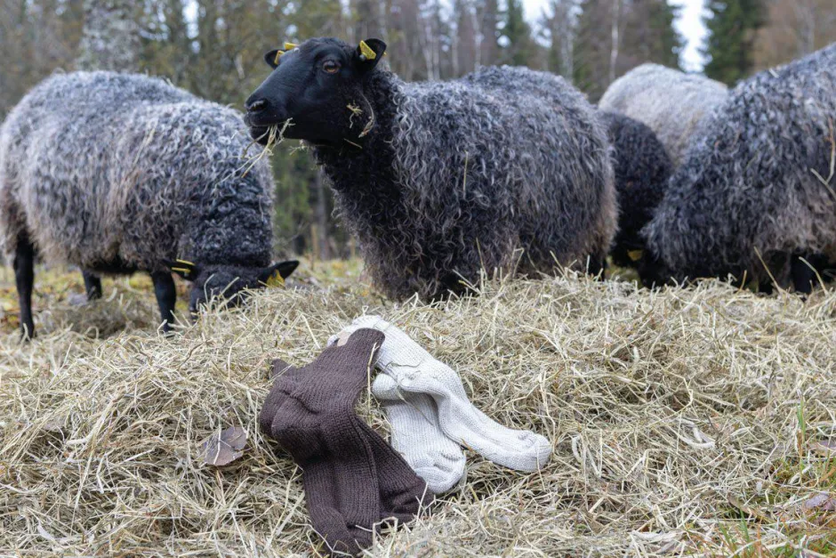 Ivanhoe of Sweden NLS RAG SOCK, 100% OFÄRGAD ULL — COFFEE BEAN Hot